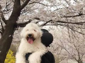 女生一定要有双高跟鞋!!