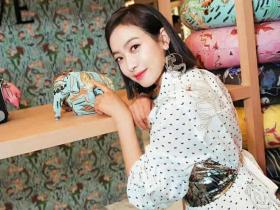 LOEWE罗意威 宋茜同款美人鱼小象包