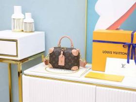 Louis Vuitton LV M45531 Petite Malle Souple 斜跨盒子包