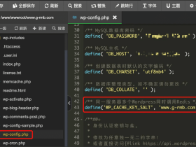 一台VPS服务器如何设置两个WP Wordpress Redis配置方法