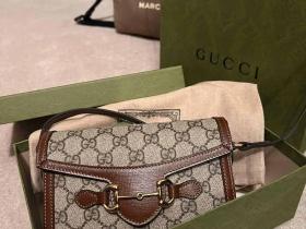 🇨🇦Gucci 1955 新款迷你斜挎包~699296