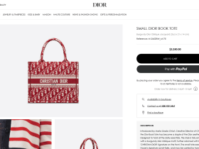 Small Dior Book Tote M1265ZRIW_M17E