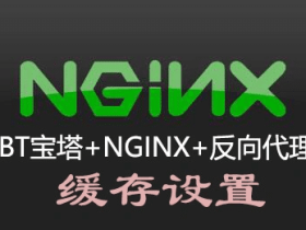 BT宝塔Nginx反向代理导致WordPress登陆问题 缓存目录设置介绍