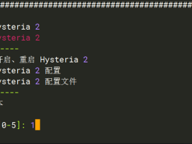 部署 Hysteria 2 hy2(歇斯底里)协议节点 一键脚本