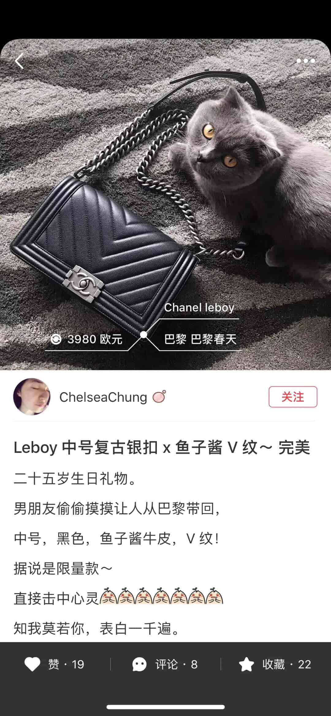 Chanel/香奈儿18新款Leboy25黑色小球纹V型银扣女包 67086