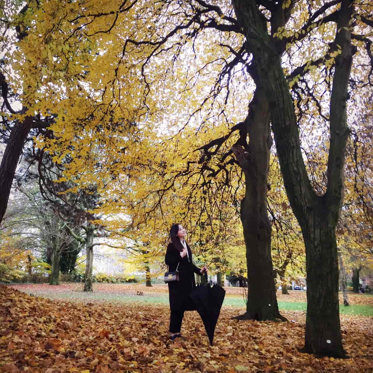 ?种草款? 古奇Gucci padlock小号链条包 409487