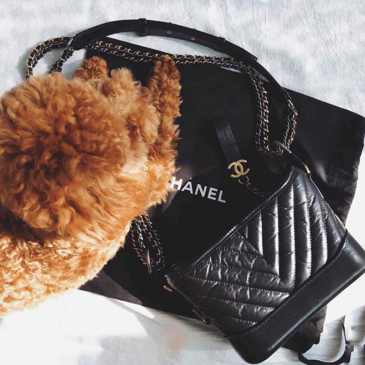 ?香奈儿Chanel 18秋冬新款 V纹 GABRIELLE 小号流浪包 ?