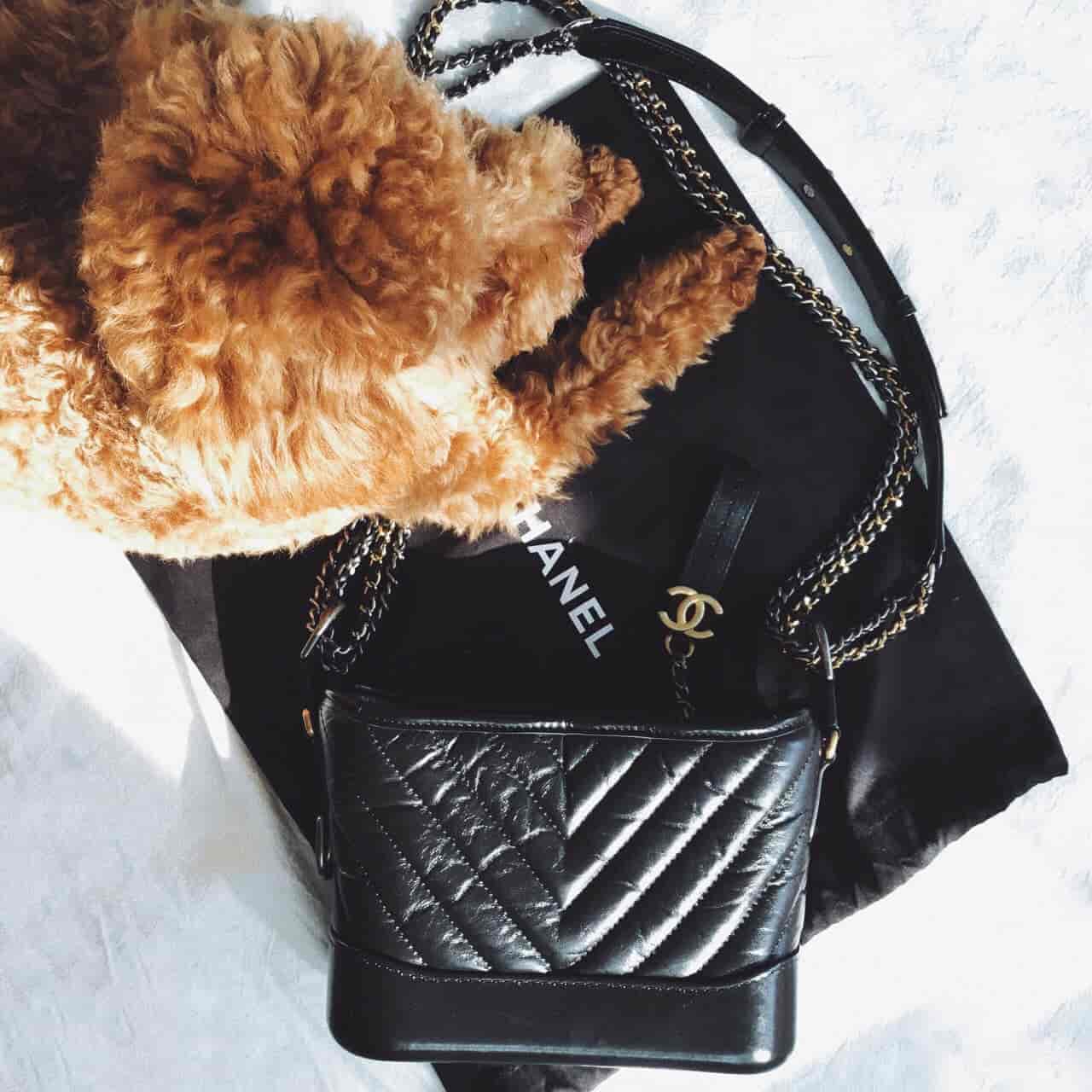 ?香奈儿Chanel 18秋冬新款 V纹 GABRIELLE 小号流浪包 ?