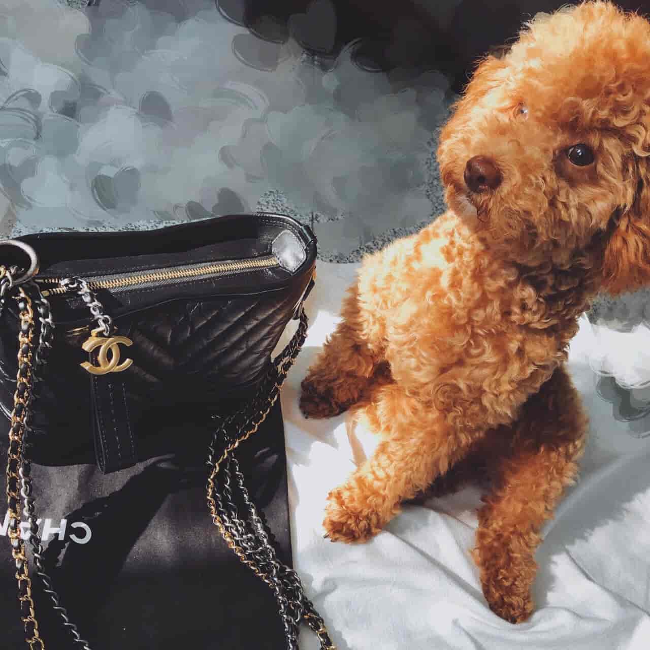 ?香奈儿Chanel 18秋冬新款 V纹 GABRIELLE 小号流浪包 ?