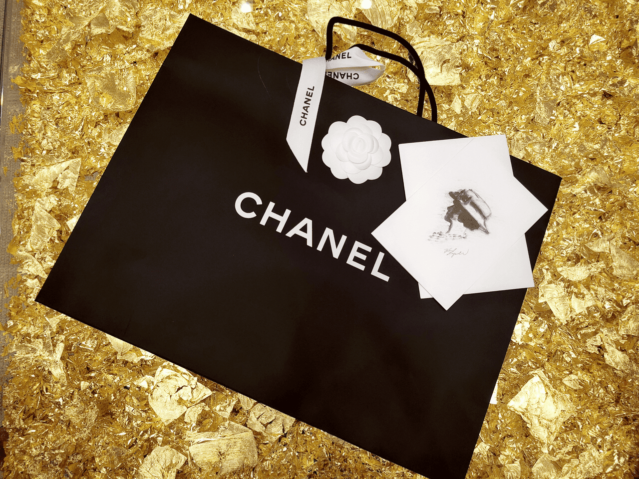 ?香奈儿Chanel 18秋冬新款 V纹 GABRIELLE 小号流浪包 ?