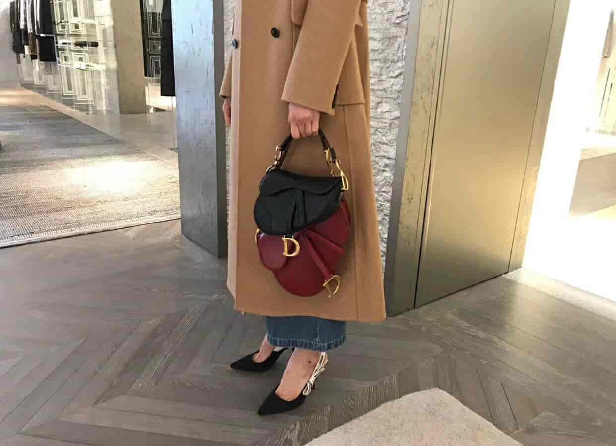 Dior/迪奥 SADDLE小牛皮手提马鞍包 M0446