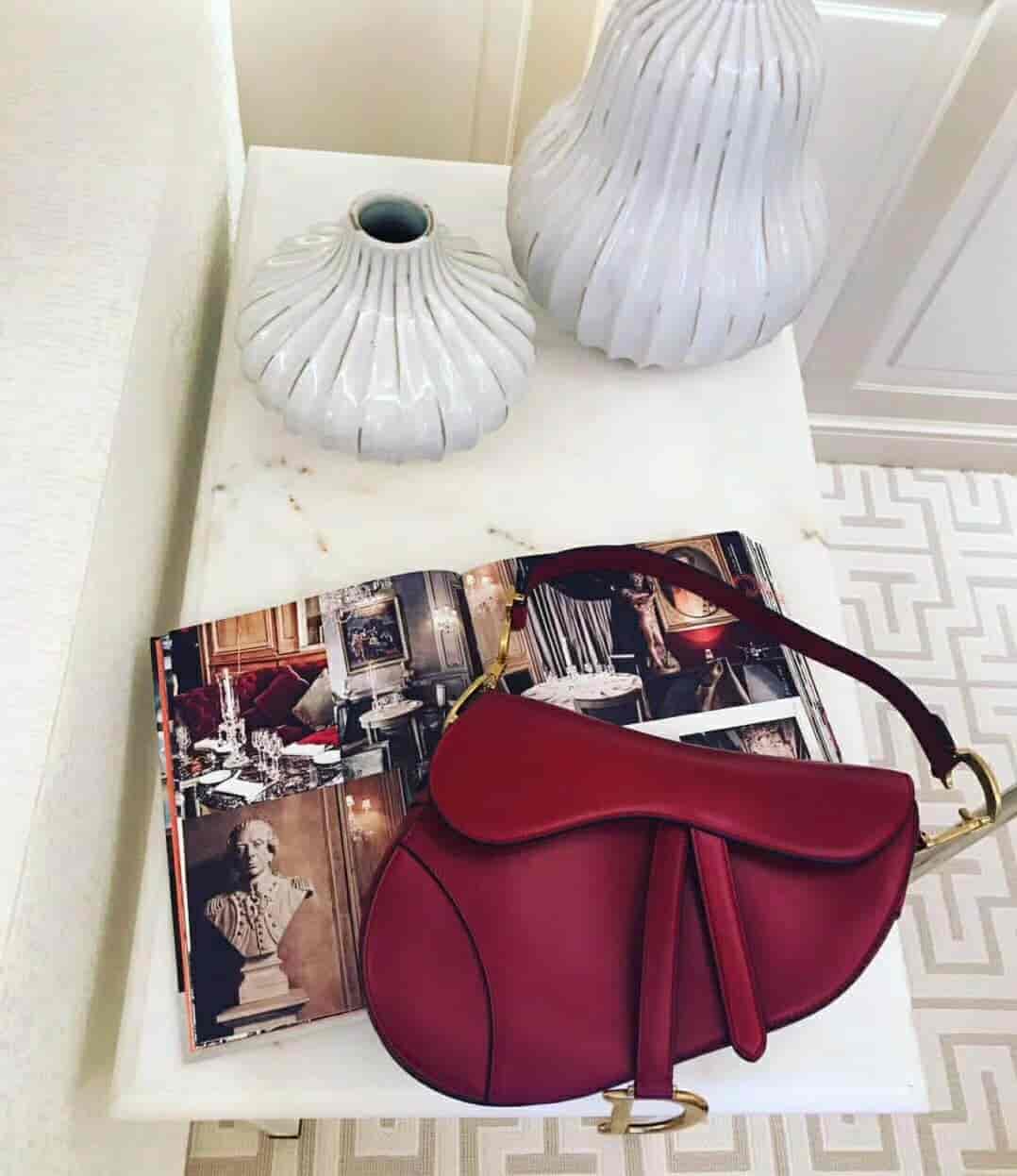 Dior/迪奥 SADDLE小牛皮手提马鞍包 M0446