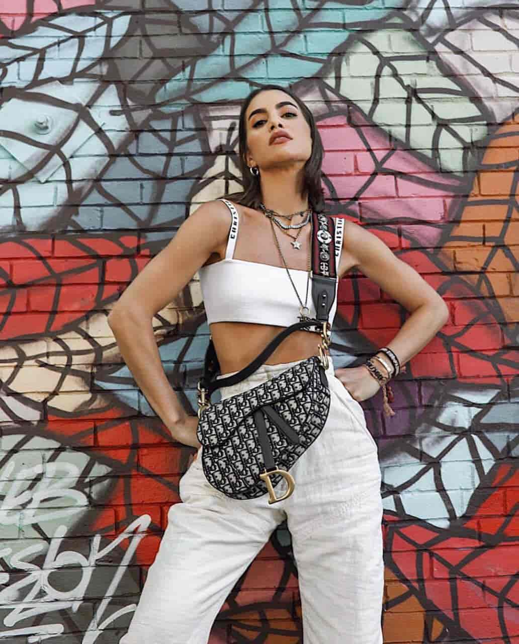 Dior saddle bag 马鞍包