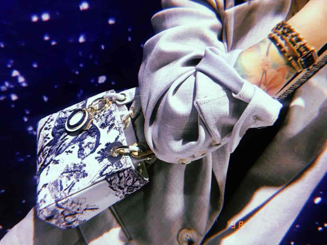 Dior/迪奥 刺绣印花老虎Toile de Jouy度假风系列Lady戴妃包