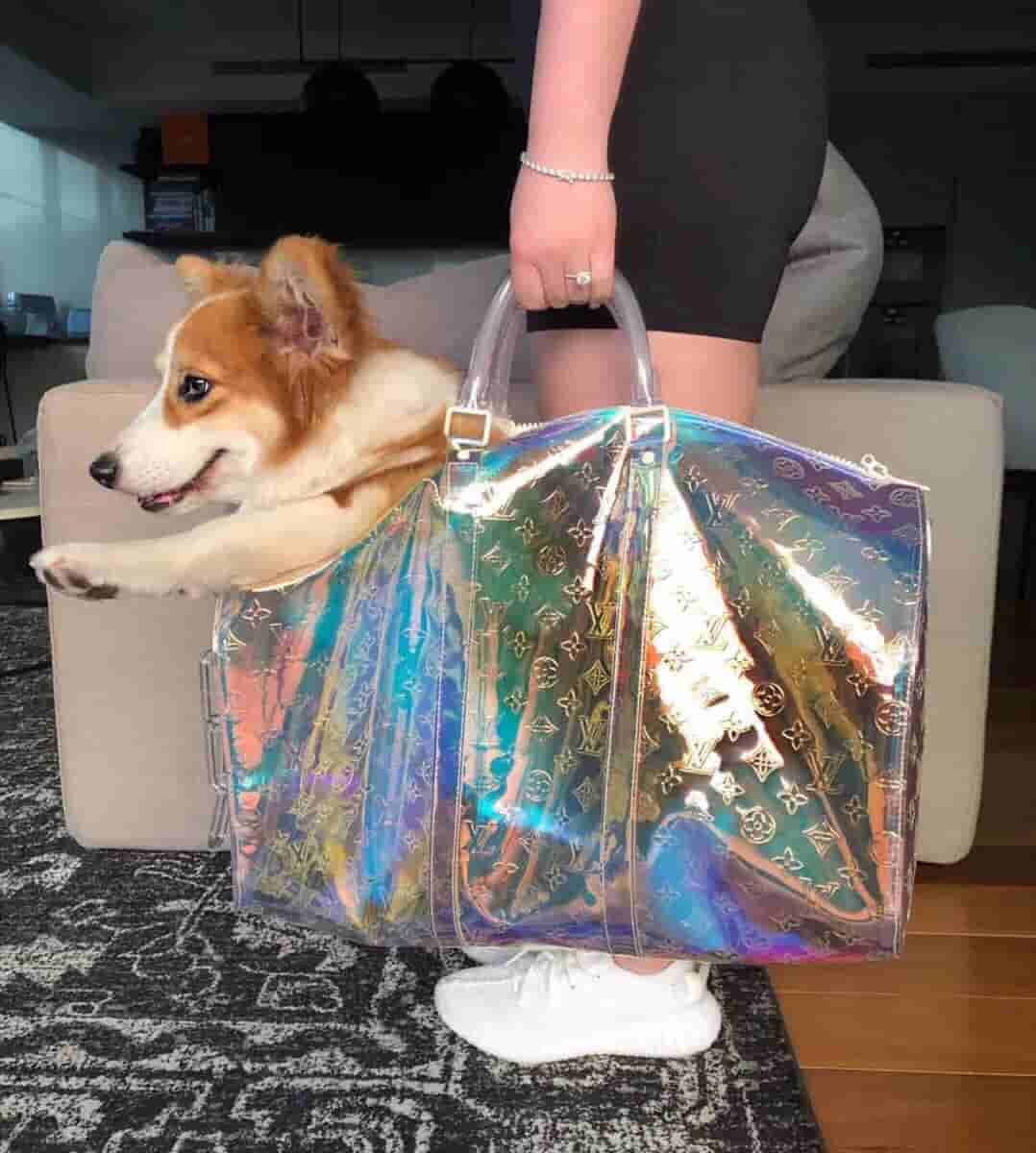 LV 2019新款KEEPALL 50 透明PVC炫彩旅行袋 M53271