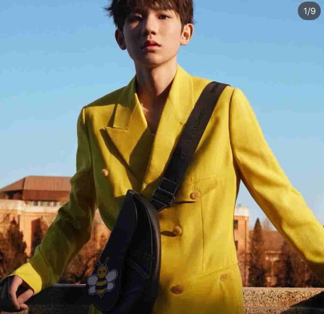 Dior/迪奥 Kaws合作款Homme Saddle Bag蜜蜂图案胸包