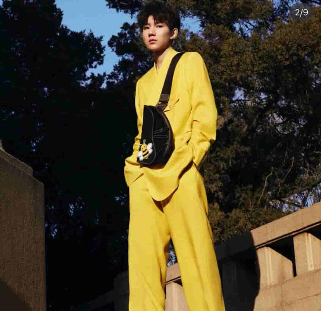 Dior/迪奥 Kaws合作款Homme Saddle Bag蜜蜂图案胸包