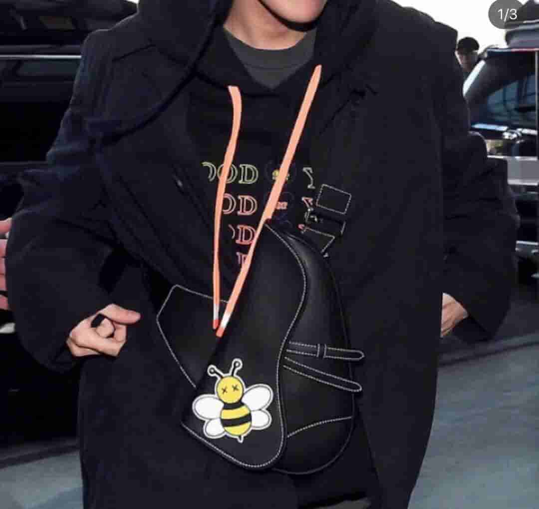 Dior/迪奥 Kaws合作款Homme Saddle Bag蜜蜂图案胸包