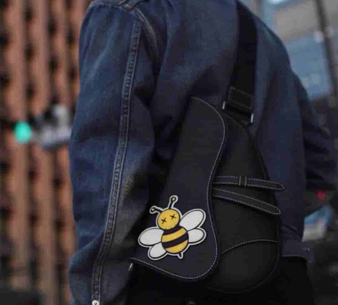 Dior/迪奥 Kaws合作款Homme Saddle Bag蜜蜂图案胸包