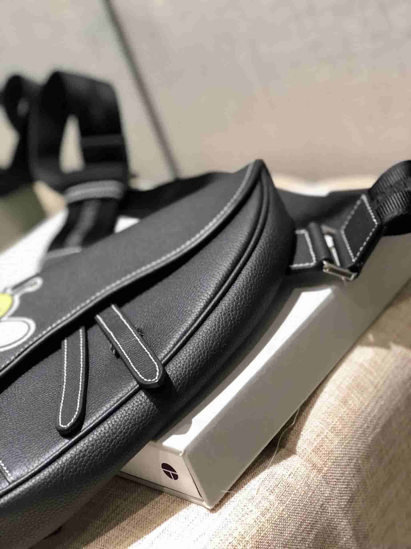 Dior/迪奥 Kaws合作款Homme Saddle Bag蜜蜂图案胸包