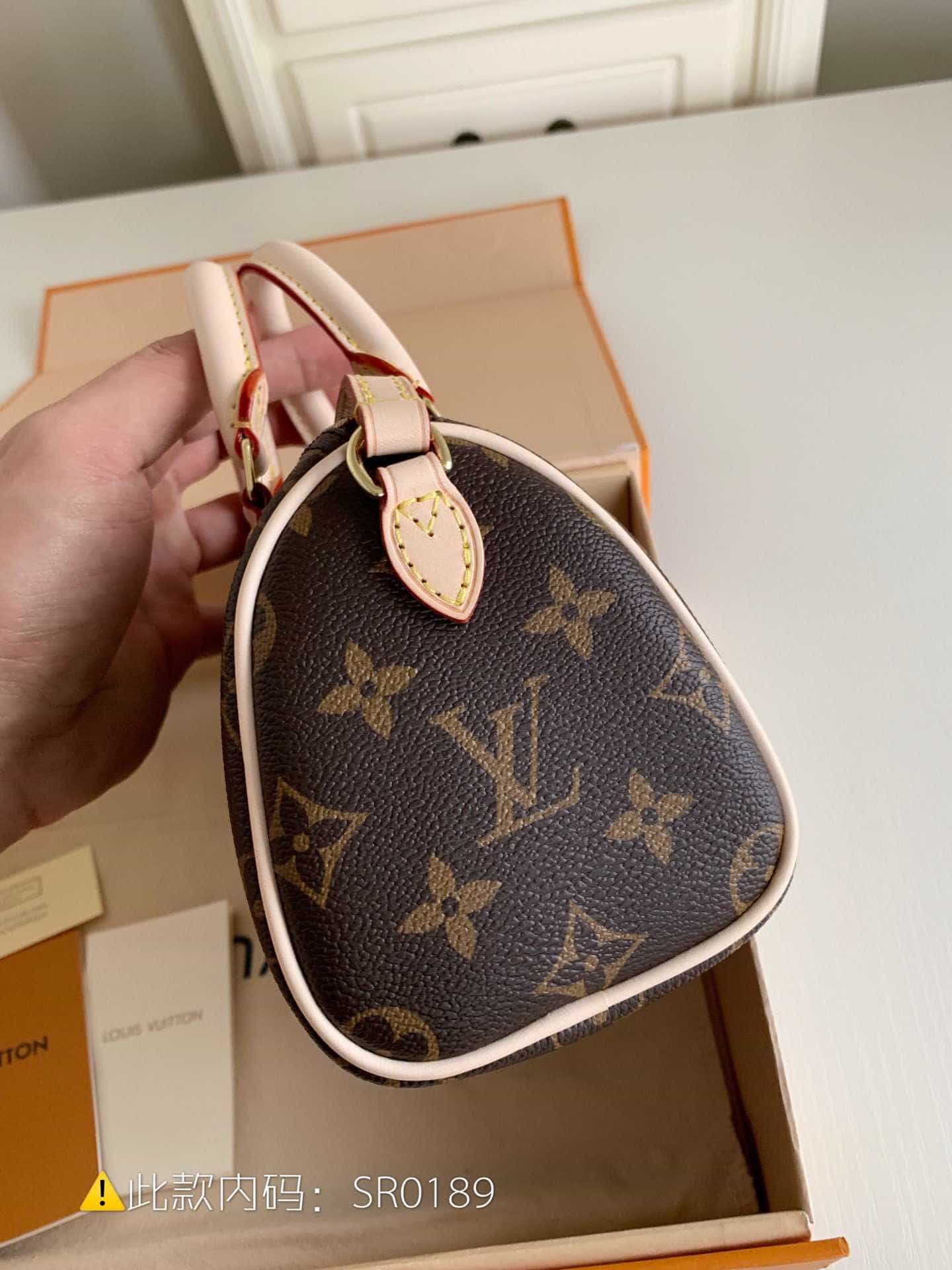 lv monogram nano speedy手袋 老花色迷你枕头包 m61252