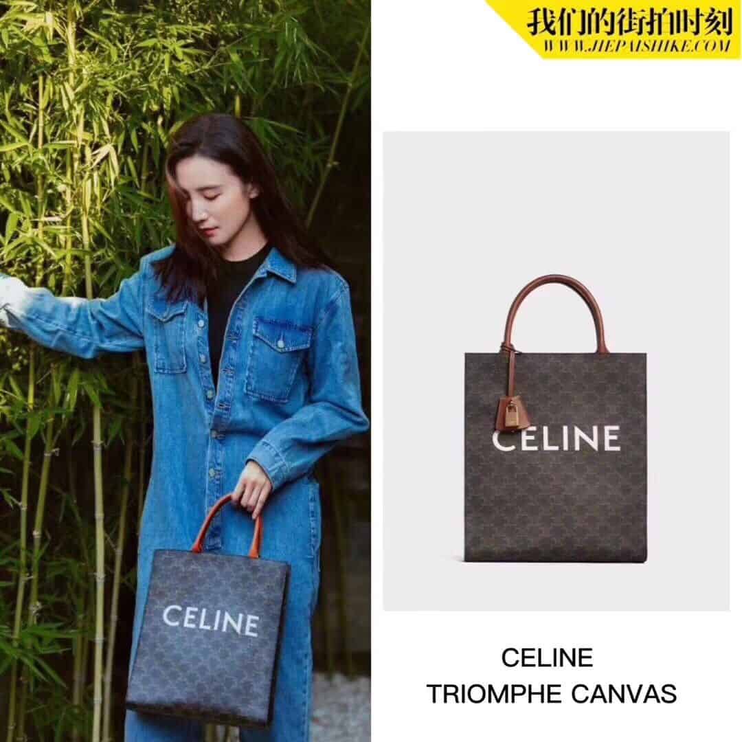 Celine/赛琳 CABAS TRIOMPHE帆布小号竖款手提购物袋 191542
