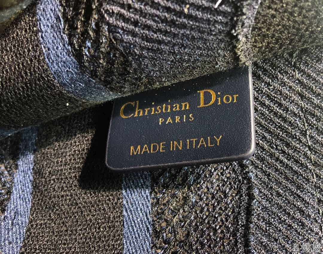 DIOR BOOK TOTE蓝色迷彩刺绣帆布托特包 M1271ZWAH_M928