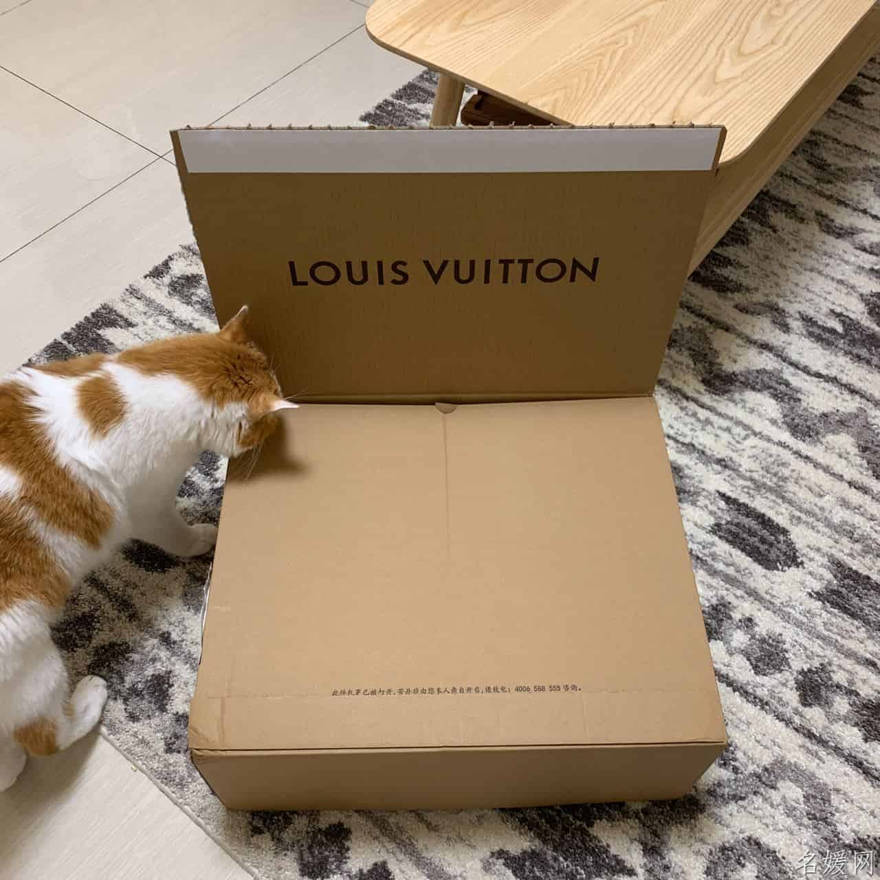 LV M56251 MINI DAUPHINE 2020春夏新款拆箱