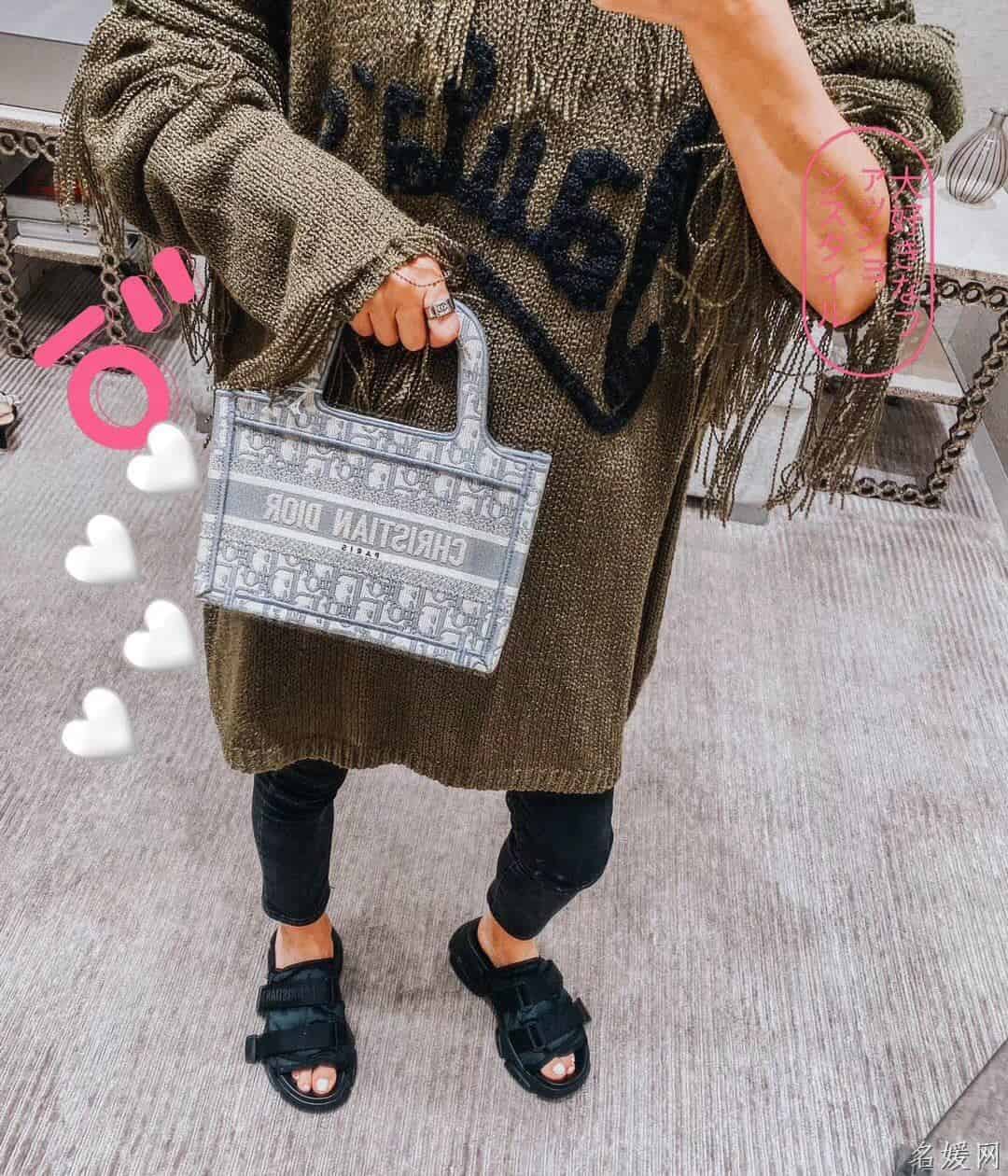 Dior灰色帆布OBLIQUE图案刺绣BOOK TOTE迷你托特包