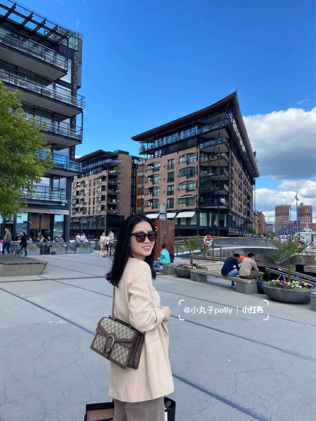 Gucci Dionysus GG top handle bag 手提包 621512