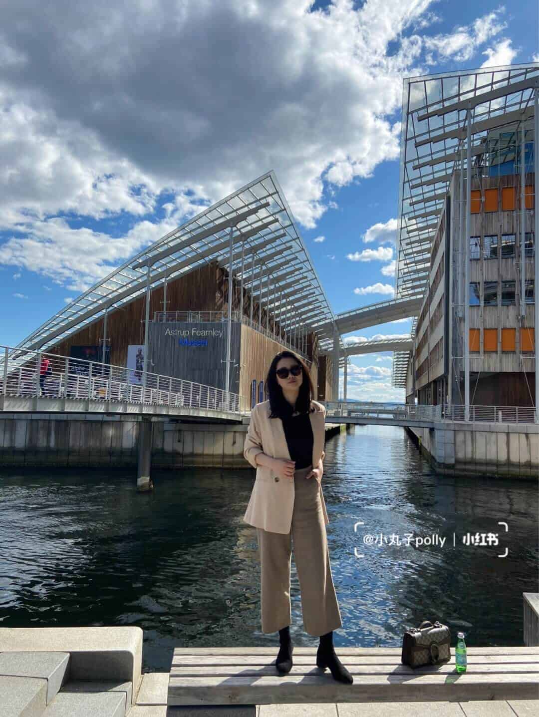 Gucci Dionysus GG top handle bag 手提包 621512