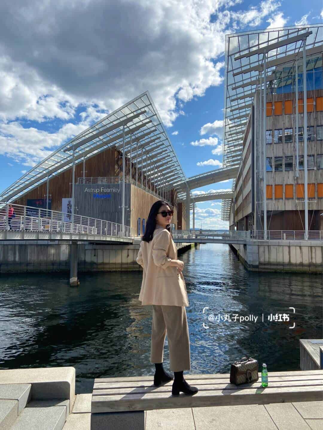 Gucci Dionysus GG top handle bag 手提包 621512