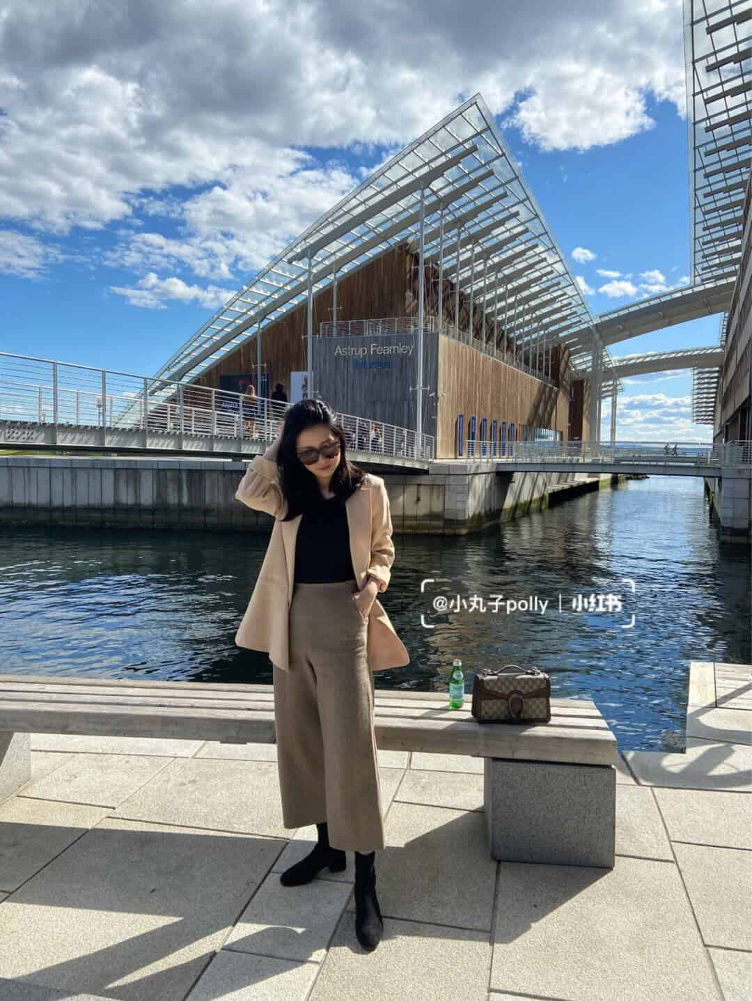 Gucci Dionysus GG top handle bag 手提包 621512