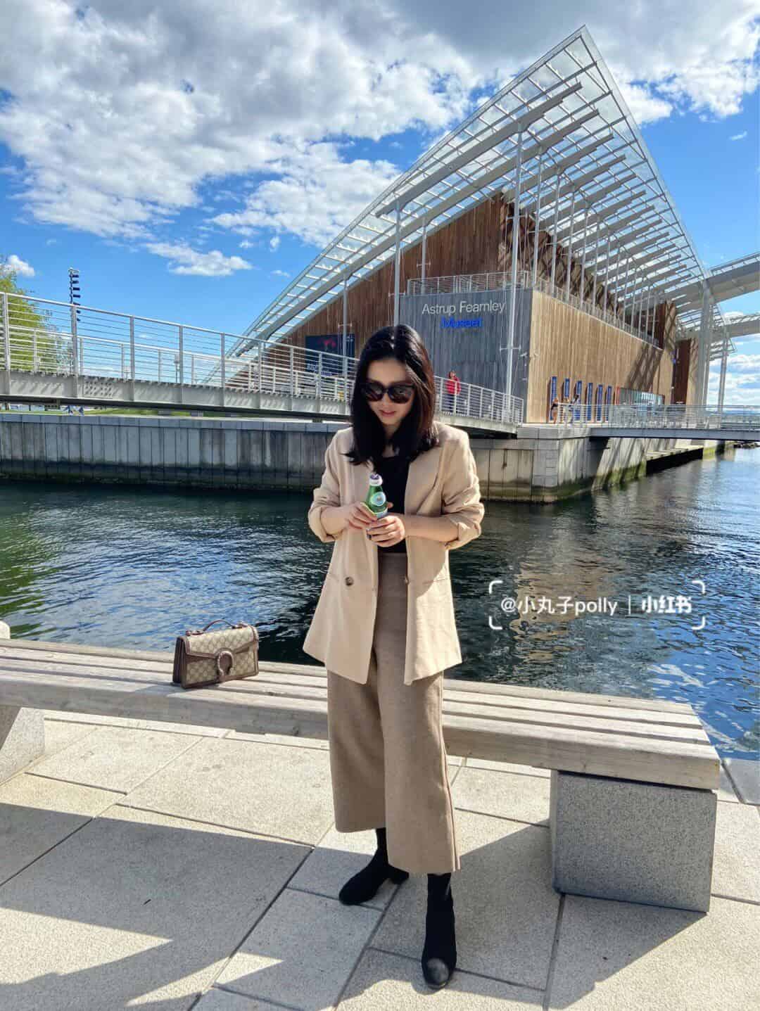 Gucci Dionysus GG top handle bag 手提包 621512