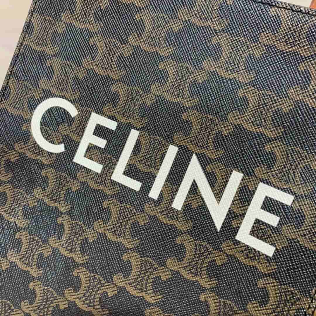 Celine CABAS 迷你标志印花竖款手提包 194372BZK.04LU