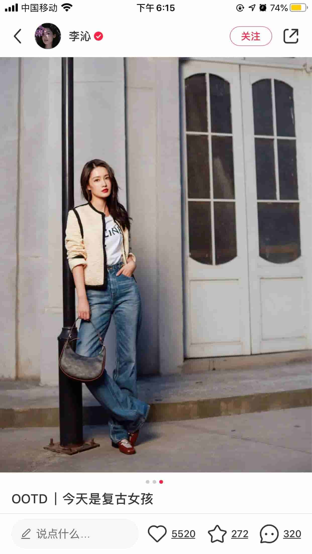 Celine赛琳 Ava 老花腋下包 193952BZJ.04LU