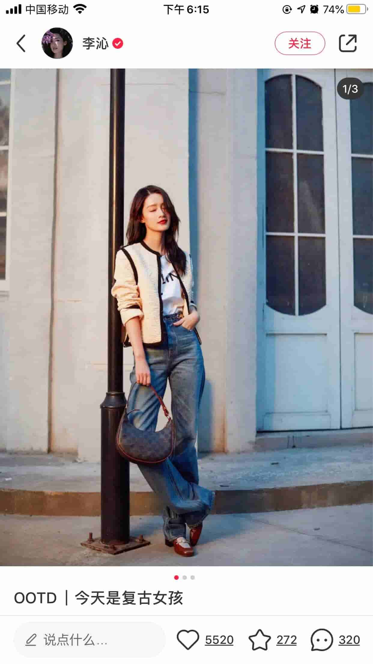 Celine赛琳 Ava 老花腋下包 193952BZJ.04LU