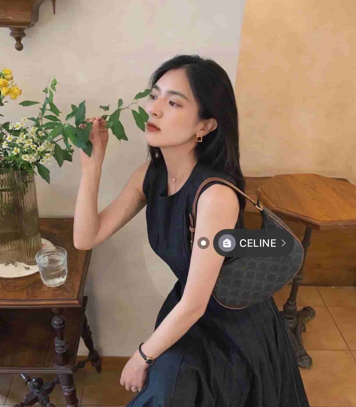 Celine赛琳 Ava 老花腋下包 193952BZJ.04LU