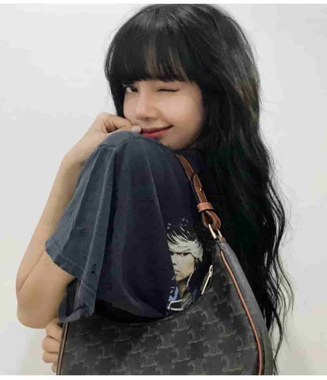 Celine赛琳 Ava 老花腋下包 193952BZJ.04LU