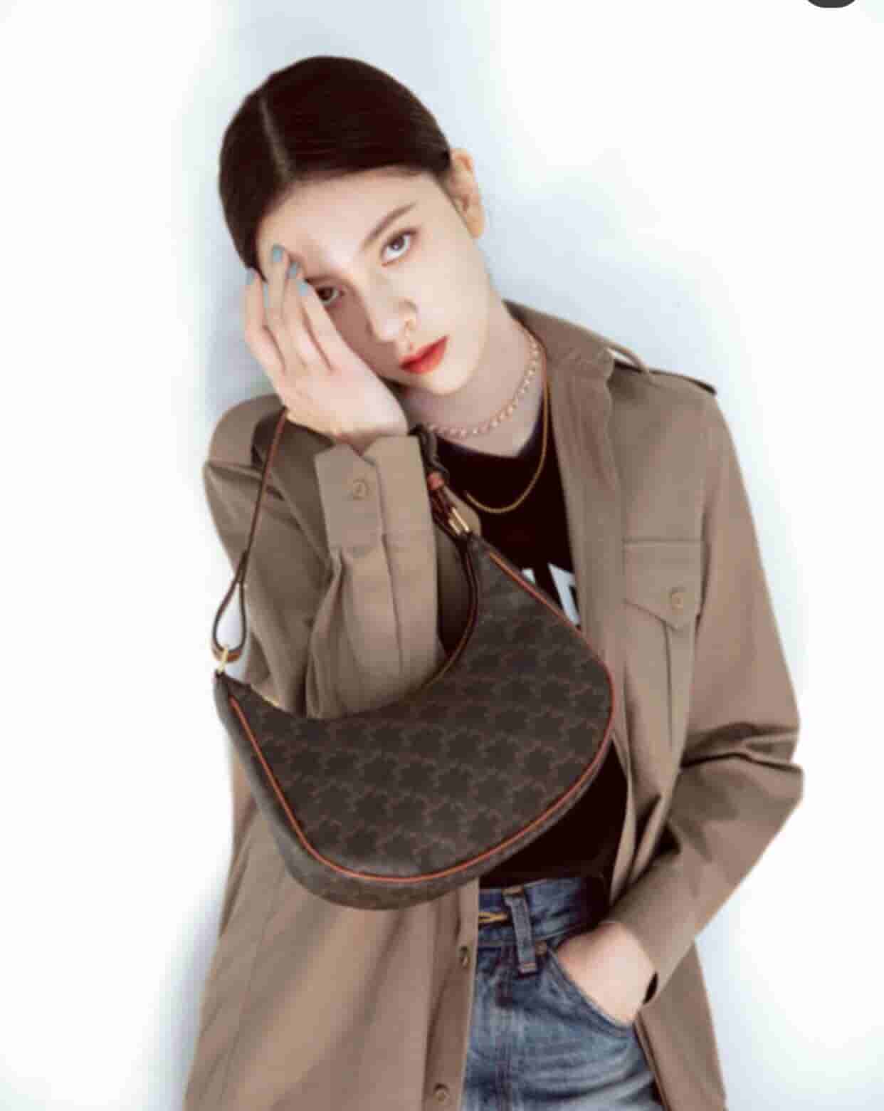 Celine赛琳 Ava 老花腋下包 193952BZJ.04LU