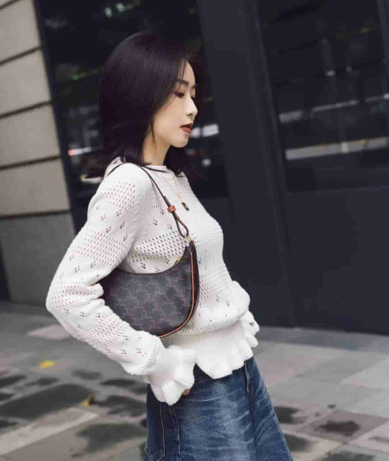 Celine赛琳 Ava 老花腋下包 193952BZJ.04LU