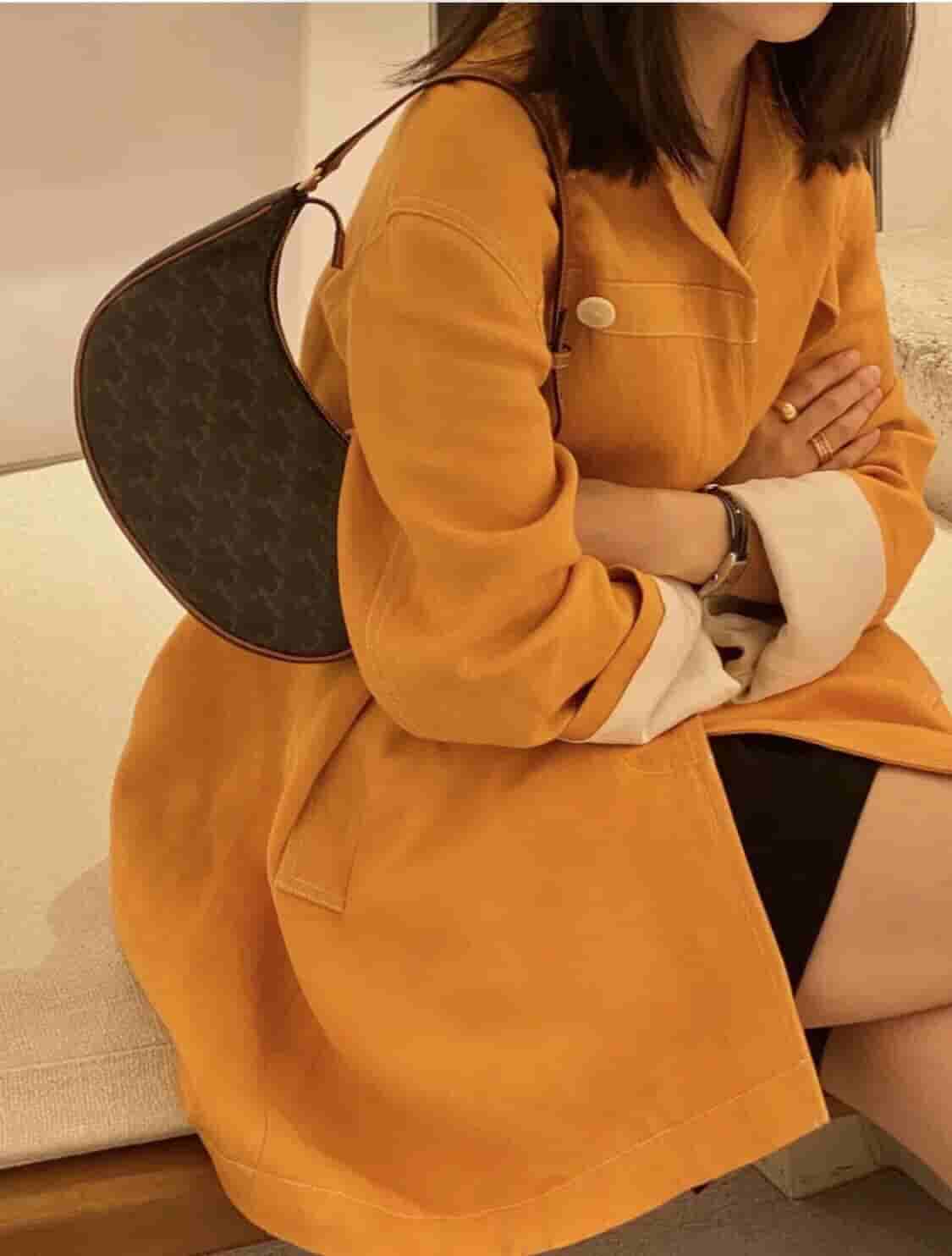 Celine赛琳 Ava 老花腋下包 193952BZJ.04LU