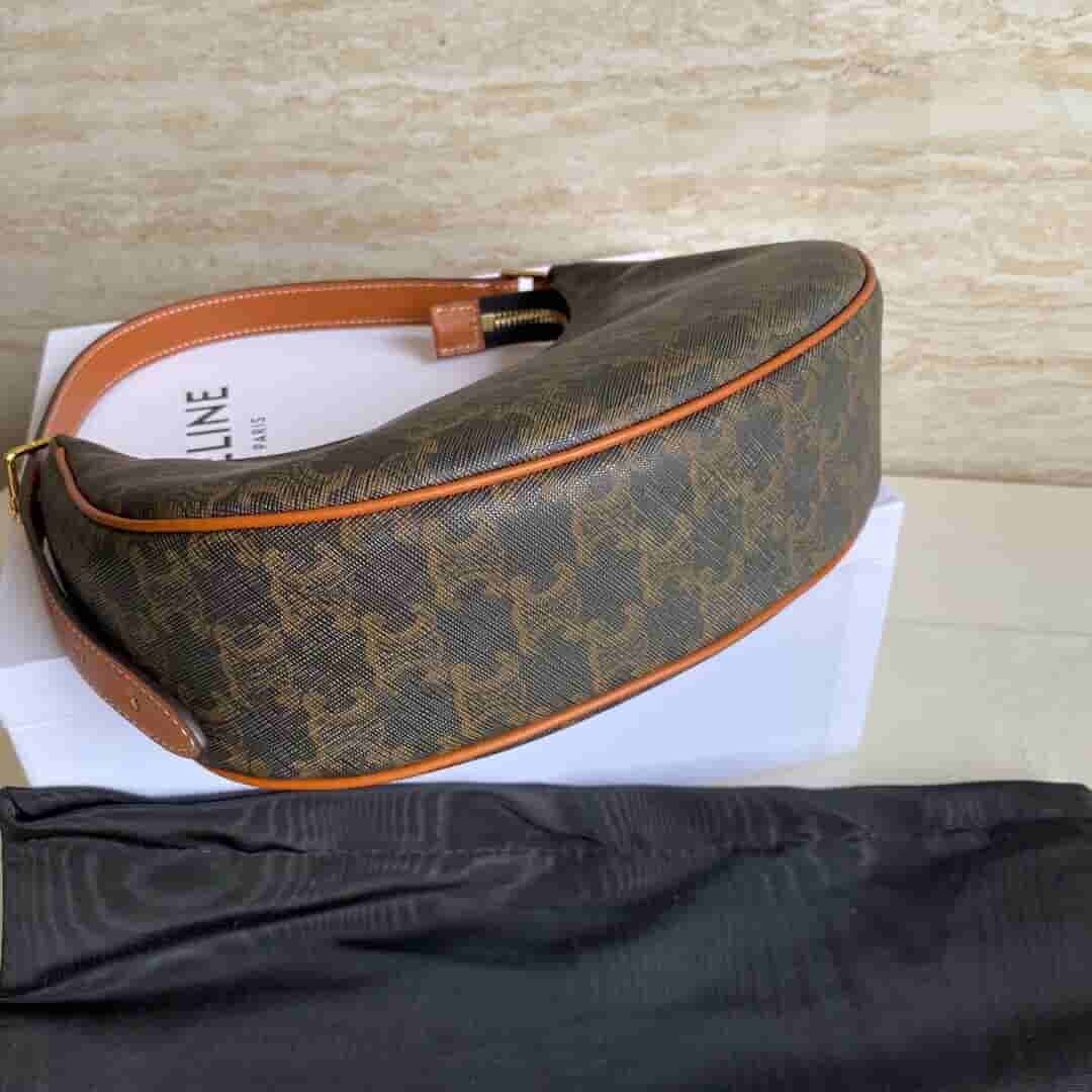 Celine赛琳 Ava 老花腋下包 193952BZJ.04LU